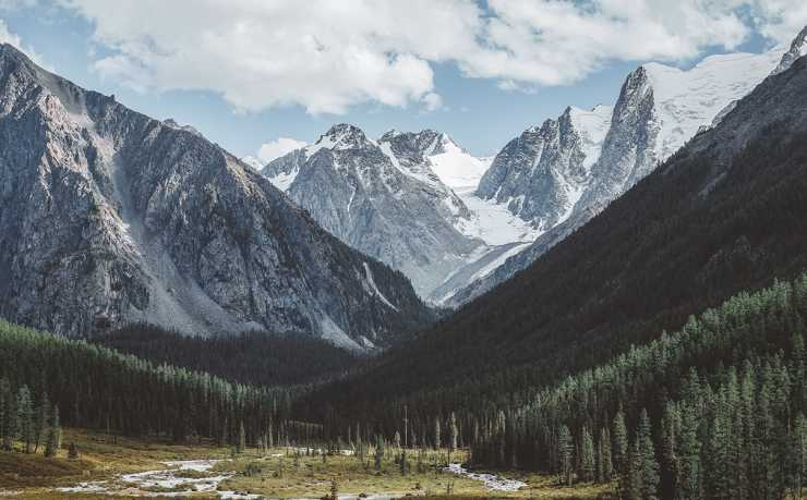GA黄金甲-2026世界杯：未来之约，全球共鸣